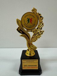 天才兒童表演藝術交流協會-全港十八區傑出視藝教育大獎